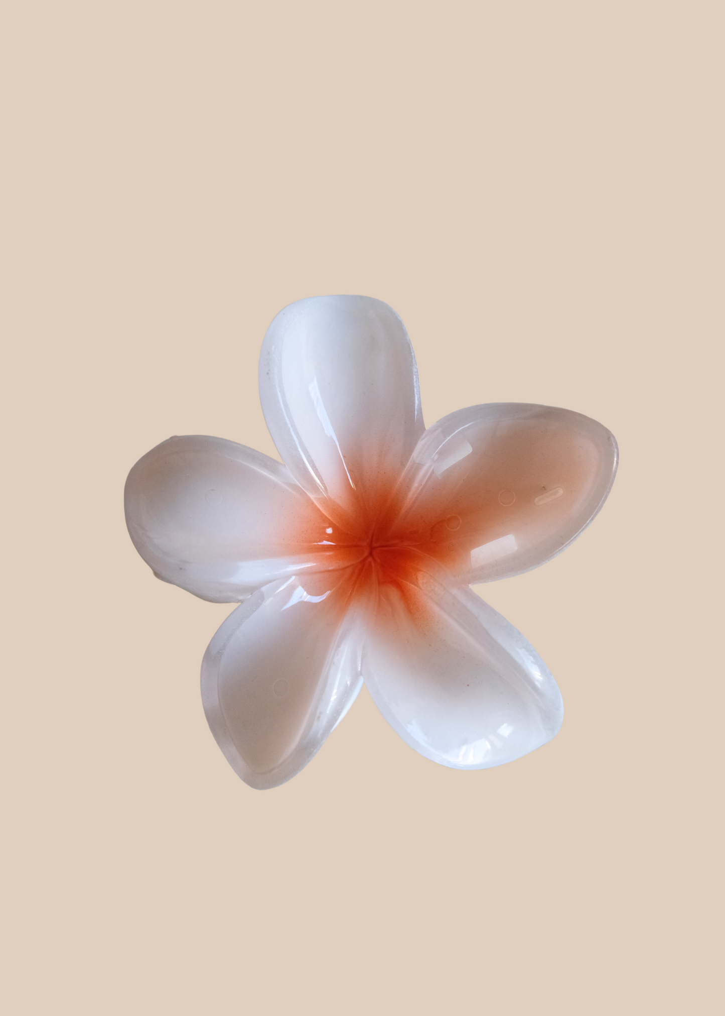 The Hawaii Clasp