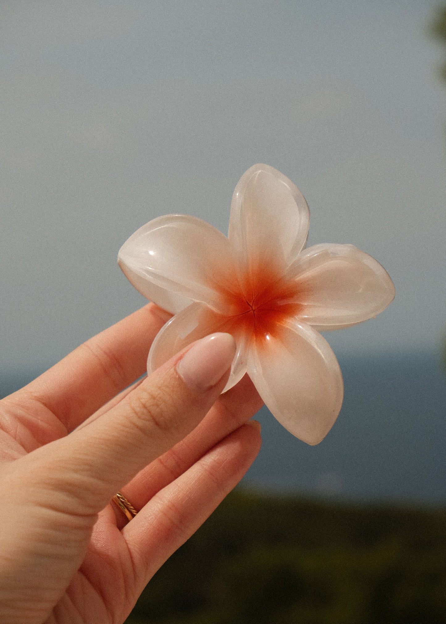 The Hawaii Clasp
